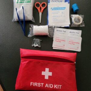 Mini First Aid Kit